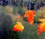 В среду синоптики обещают астраханцам небольшой дождь