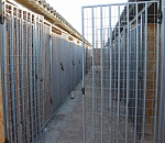 Что сегодня происходит на месте будущего приюта для животных