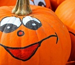 На астраханской ферме выращивают тыквоогурцы