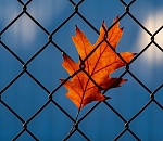 Астраханец поплатился свободой по доброте души