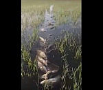 Астраханец поймал столько рыбы, что не знает, как ее унести