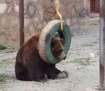 "Единая Россия" опять обновила минимум