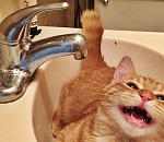 В конце апреля в Астрахани отключат холодную воду