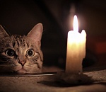 40 улиц Астрахани останутся сегодня без света