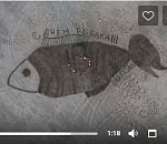 Интрига дня: астраханцы проведут флешмоб ко Дню рыбака