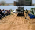 66 мигрантов из Узбекистана оштрафовали за незаконное выращивание овощей под Астраханью