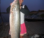 Астраханские инвесторы вложат $200 млн в производство лосося 