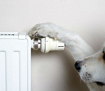 В Астрахани целый микрорайон остался без отопления