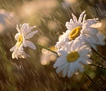 Скрещиваем пальцы: в четверг астраханцам обещают дождь