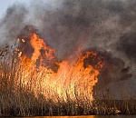 На трассе «Астрахань – Махачкала» ограничено движение из-за сильного задымления