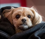 Что-то холодно мне стало… Завтра в Астрахани будет зябко