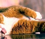 Во вторник астраханцев ждут жара и гроза