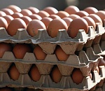 ФАС проверит подорожание яиц 