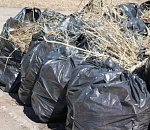 С астраханских улиц вывезли больше 6 тысяч тонн мусора