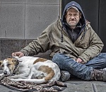 Астраханские реалии: на собак хотят выделить по 5400, а от министра шарахаются бомжи