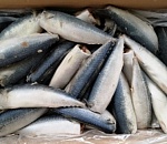 С начала года с территории Астраханской области на экспорт отправили более 340 тонн рыбной продукции