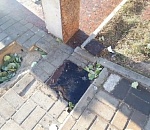 Полиция Астрахани разбирается с разгромом на Лебедином озере