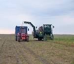 Астраханская область оказалась в лидерах по приросту числа фермеров