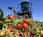 Топливный кризис не помешает астраханским аграриям собрать рекордный урожай