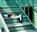 Завтра астраханские синоптики прогнозируют в регионе +19° и гололед