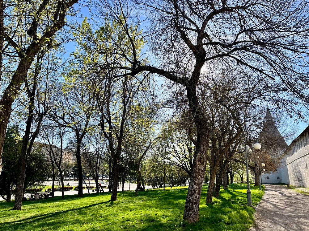 Понедельник в Астраханской области будет по-летнему жарким 