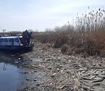 В Астраханской области выясняют причину массовой гибели сазанов 