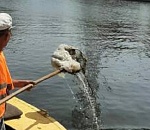 На астраханских городских каналах и мостах наводят марафет