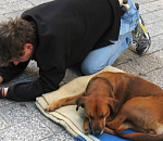 В Астрахани хотят ввести наказание за попрошайничество