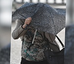 МЧС выдало штормовое предупреждение: на Астрахань надвигаются ливень и мощный ветер