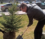 Фото дня: губернатор начал сажать