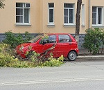 Фото дня. Огромная ветка упала на автомобиль в центре Астрахани