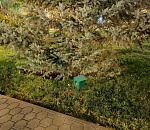 В центре Астрахани появился ультразвуковой отпугиватель собак