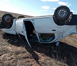 В Ахтубинске автоледи на Рено вылетела в кювет и перевернулась