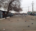 Скоро Большие Исады в Астрахани будет не узнать