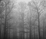 Утро пятницы в Астраханской области начнется с тумана