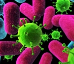 Астрахань оказалась в лидерах по заболеваемости двумя инфекциями