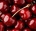 В Астрахани 4-летний ребенок умер, подавившись косточкой от вишни