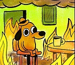 Губернатор озаботился жизнью собачьей