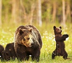 Какое будущее у астраханской «Единой России»?