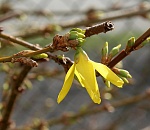 Дождливый и теплый: каким будет март в Астрахани