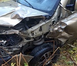 Под Астраханью стадо верблюдов не поделило дорогу с автомобилем