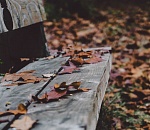 В выходные в Астрахани станет теплее