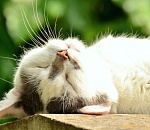 Погода на завтра: дождей пока не будет