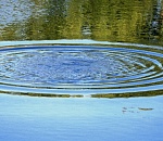 В Астраханской области утонула 11-летняя девочка