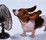 В КОНЦЕ НЕДЕЛИ (19-24 ИЮЛЯ) 