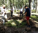 В Астрахани уничтожили 3 000 квадратных метров дикорастущей конопли