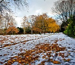 Первый снег в Астрахани выпадет уже в ноябре