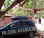 В Астрахани еще два дерева надругались над машинами