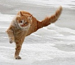 В воскресенье астраханцев будет сдувать ветром