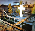 Иммунитет как у моржа: что съесть перед купанием в проруби, чтобы не заболеть